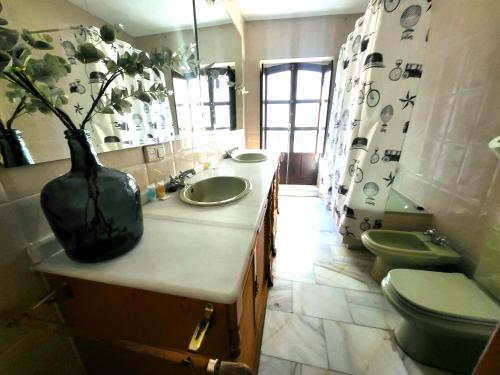 乌贝达Apartamentos Sol Real 1的一间带水槽和花瓶的浴室