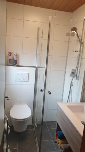 HöfenChalet Panorama Tirol的浴室配有卫生间、淋浴和盥洗盆。