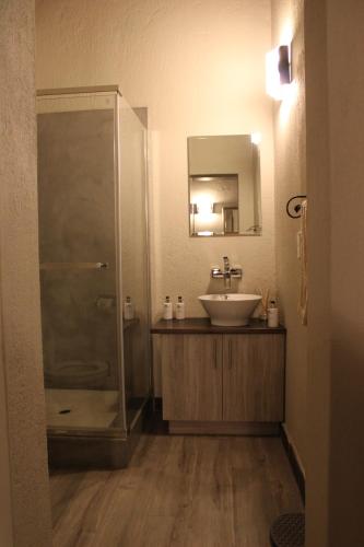 侯斯普瑞特Thuhlo lodge的一间带水槽和淋浴的浴室