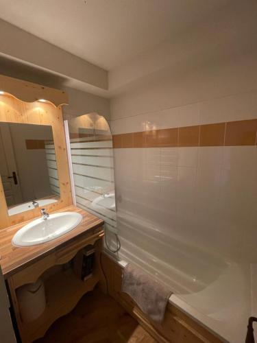 尚鲁斯Balcon de Recoin 2 Personnes的一间带水槽、浴缸和镜子的浴室