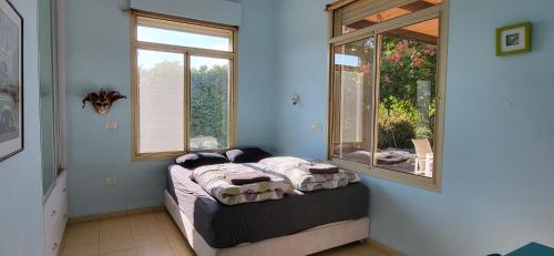 Giv'at Yo'avAviv Beautiful Villa, 5 BR, Golan Heights的客房设有床和窗户。