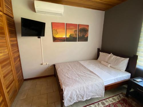 利比里亚Casa Camino Luna Private Rooms的一间卧室配有一张床和一台平面电视
