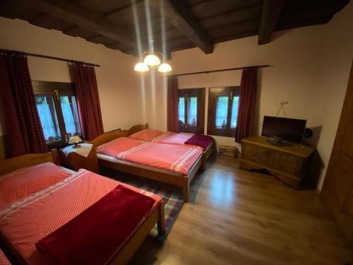 奇奇马尼Maľovaná drevenička v Čičmanoch的一间卧室配有两张床和一台平面电视
