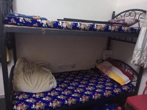 沙迦dormitory bed space for male and female的一间卧室配有两张带床垫的双层床