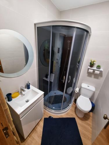 科维良Serra da Estrela Guest House的带淋浴、卫生间和盥洗盆的浴室