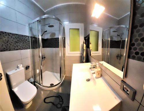 ArafoSeaview Chalet的带淋浴、卫生间和盥洗盆的浴室