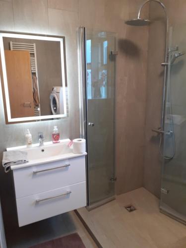 BifrostBifröst的浴室配有盥洗盆和带镜子的淋浴