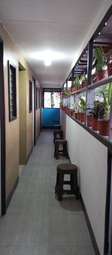 伊洛伊洛The Plant House in Iloilo City 12Pax的楼内带长椅和盆栽的走廊