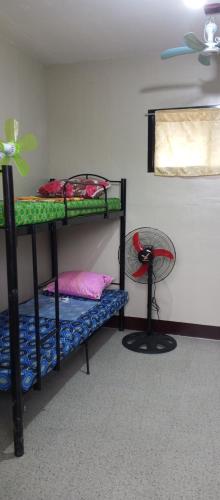 伊洛伊洛The Plant House in Iloilo City 12Pax的客房设有三张双层床和风扇。
