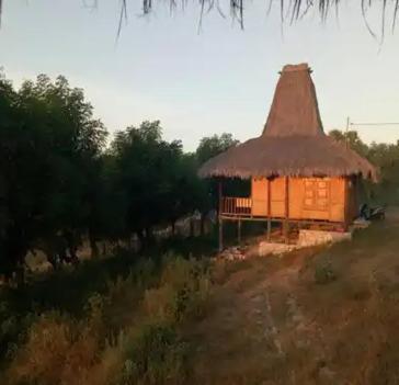 NdanguGUEST HOUSE的田野上带草屋顶的小小屋