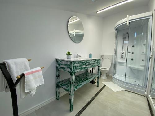 阿拉德Pensiunea Damir的一间带水槽、淋浴和镜子的浴室