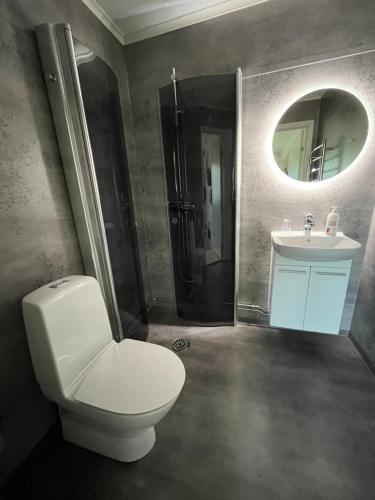 HammarstrandHotell Hammarstrand的一间带卫生间、水槽和镜子的浴室