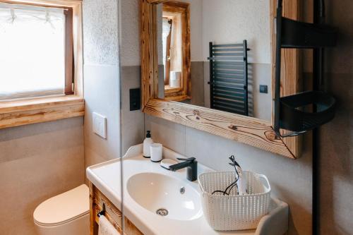 斯祖贝莱克Challet Tonka的一间带水槽、镜子和卫生间的浴室