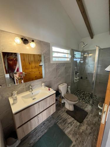 萨莱比梅Bienvenue chez Angie的一间带水槽、卫生间和淋浴的浴室