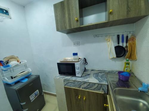 拉各斯Dinero Ruby - Studio Apartment的厨房配有水槽和台面上的微波炉