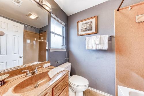 新布朗费尔斯Water Wheel Resort Condo Resort的带浴缸、卫生间和盥洗盆的浴室