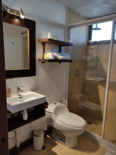 安托法加斯塔Hostal Geosol的浴室配有卫生间、盥洗盆和淋浴。