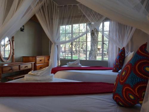 侯斯普瑞特Kum Kula Lodge的卧室设有两张床,带窗户