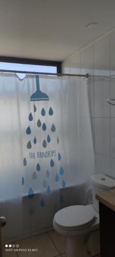 瓦尔帕莱索Habitación Privada Valparaíso Depto Compartido的一间带卫生间和淋浴帘的浴室