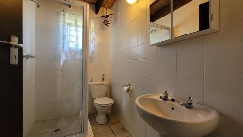 马盖特St Mikes Villa的一间带水槽、卫生间和淋浴的浴室