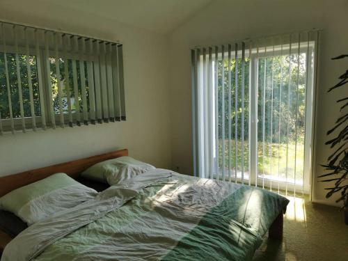 比格兰Bungalow mit 200 qm Wohnfläche :)的一间卧室设有一张床和一个大窗户