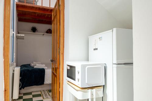 马德里Adorable apartamento en Almagro的一间带微波炉和冰箱的小厨房