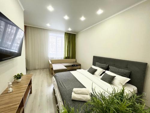 巴甫洛达尔Апартаменты в новом ЖК的一间卧室配有一张大床和一张沙发