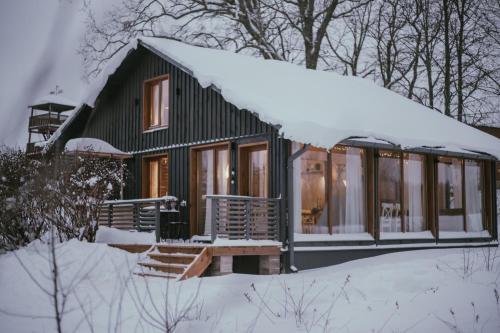 LūšakrogsVIESU MĀJA KALNARUŠĶI的雪中带雪盖屋顶的绿色小屋