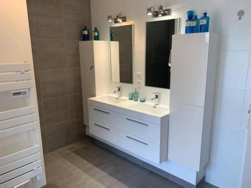 欧塞尔Magnifique Villa au cœur de l’Yonne的浴室设有白色水槽和镜子