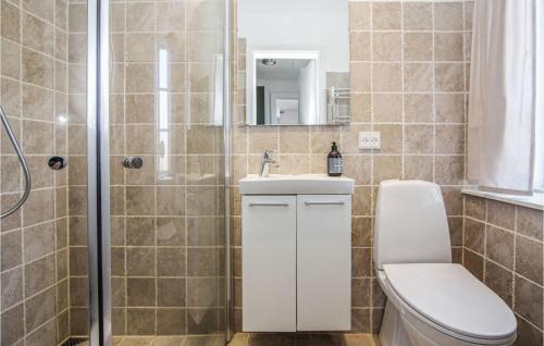 Kolby KåsAmazing Apartment In Sams With Wifi的浴室配有卫生间、盥洗盆和淋浴。