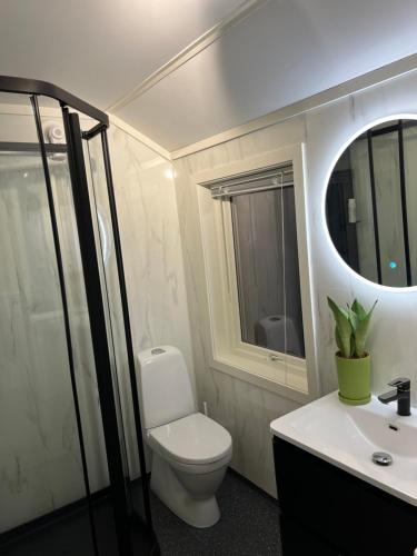 克里斯蒂安桑Strandhytte的一间带卫生间、水槽和镜子的浴室