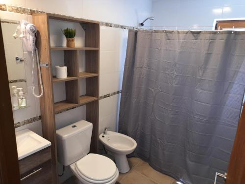 卡薇亚惠Del Sendero Caviahue的一间带卫生间和淋浴帘的浴室