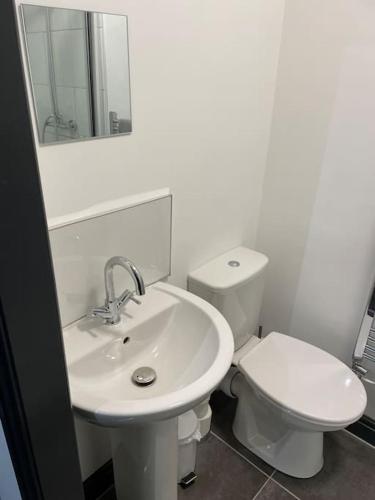 特伦特河畔斯托克Modern Apartment With En-suite & Private Kitchen的白色的浴室设有卫生间和水槽。