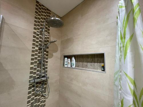 布鲁塞尔Appartement centre Zaza的浴室设有瓷砖墙和淋浴间。