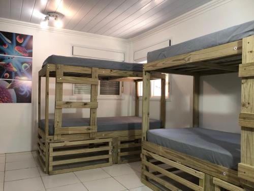 弗洛里亚诺波利斯CocoFloripa Hostel的一间客房内配有两张双层床的房间