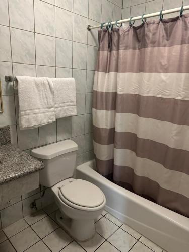 罗斯米德Plaza Inn Motel - Los Angeles area的一间带卫生间和淋浴帘的浴室