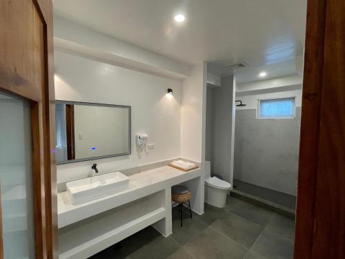 邦劳Bathala Resort的一间带水槽、镜子和卫生间的浴室
