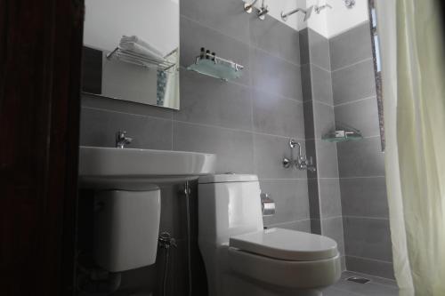 班加罗尔Elysian Grand Hotel的一间带卫生间和水槽的浴室
