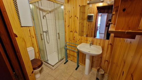 蒙热内夫尔Chalet l'Acinos的一间带水槽、淋浴和卫生间的浴室