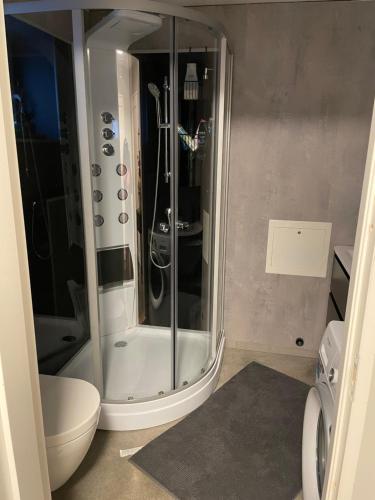 莫斯Ny Hybel leilighet med eget bad og egen inngang的带淋浴和卫生间的浴室