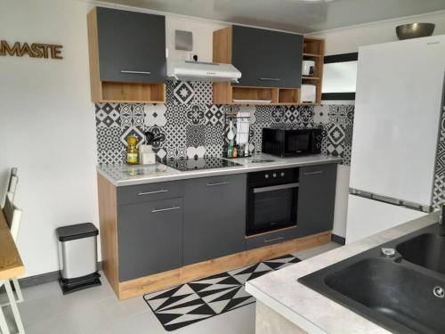 勒唐蓬Côté Terrasse的厨房配有灰色橱柜和黑色家电