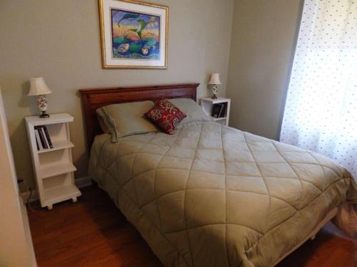 索尔兹伯里Riverfront Loft Apt A的一间卧室配有一张带2个床头柜的大床