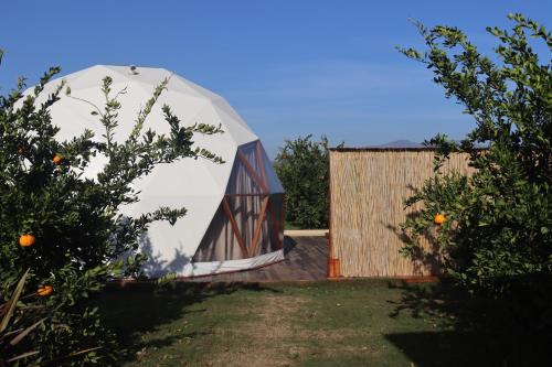 塞尔丘克Mandalin Glamping的围栏旁花园内的圆顶帐篷