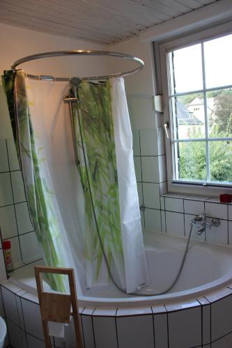 基希洪德姆Ferienwohnung an der Hundem的浴室设有带浴帘的浴缸