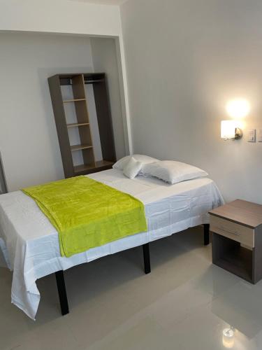 圣何塞Hotel Sabana Inn的一间卧室配有一张带绿毯的床