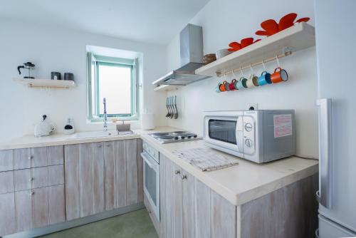 爱琴娜岛Stasa Aegina的厨房的台面上配有微波炉
