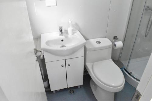 纳塔列斯港Container Departamento en Puerto Natales的浴室配有卫生间、盥洗盆和淋浴。