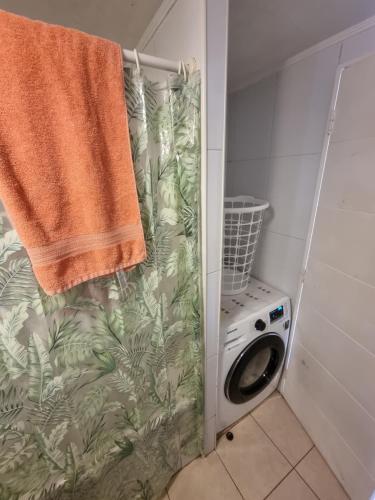 蒙特港Precioso apartamento 1D+1B // Jumbo+centro 5 min的浴室配有带浴帘的洗衣机