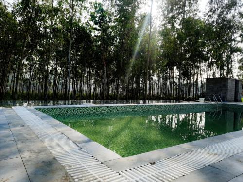 兰纳加Corbett VEDA INN的一座带喷泉的游泳池,位于树前