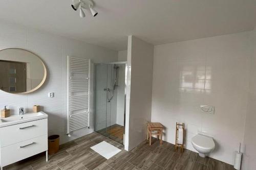 莫斯特Dům nad Jezerem - apartmán I.的浴室配有卫生间、盥洗盆和淋浴。